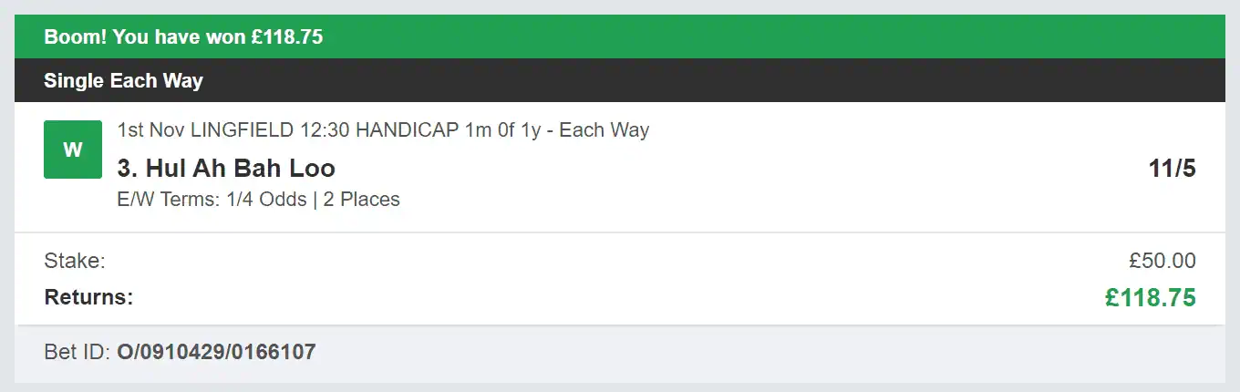 Race Profit Jump - Winner - 2023-11-01